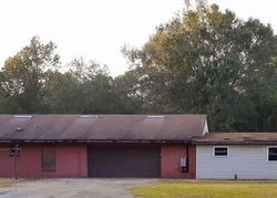 Bank Foreclosures in POLK CITY, FL