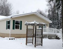 Bank Foreclosures in IRON, MN