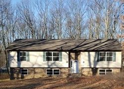 Bank Foreclosures in ZION GROVE, PA
