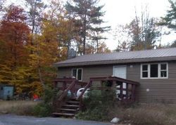 Bank Foreclosures in MINEVILLE, NY