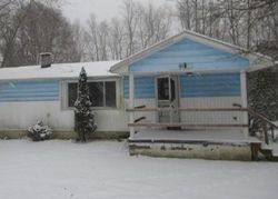 Bank Foreclosures in BELSANO, PA