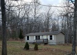 Bank Foreclosures in FISHER, WV