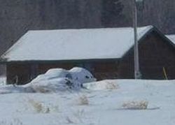 Bank Foreclosures in COOK, MN