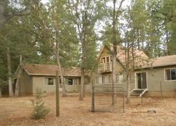 Bank Foreclosures in CASSEL, CA