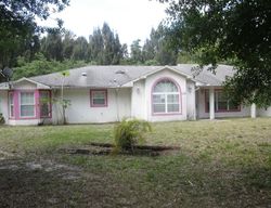 Bank Foreclosures in FELLSMERE, FL