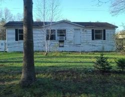 Bank Foreclosures in GOWEN, MI