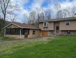 Bank Foreclosures in WYALUSING, PA