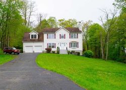 Bank Foreclosures in MOHEGAN LAKE, NY