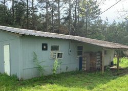 Bank Foreclosures in MIZE, MS