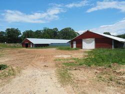 Bank Foreclosures in LOUIN, MS