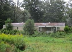 Bank Foreclosures in HARPURSVILLE, NY