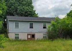 Bank Foreclosures in MASON, MI