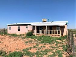 Bank Foreclosures in LAGUNA, NM