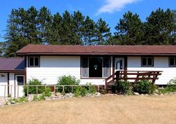 Bank Foreclosures in SEBEKA, MN