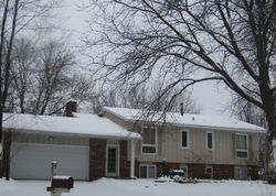 Bank Foreclosures in COTTAGE GROVE, MN