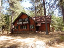 Bank Foreclosures in NEVADA CITY, CA