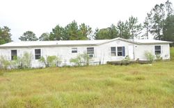 Bank Foreclosures in LUDOWICI, GA
