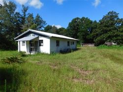 Bank Foreclosures in MELROSE, FL