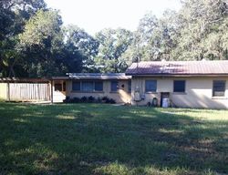 Bank Foreclosures in LUTZ, FL