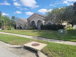 Bank Foreclosures in LUTZ, FL