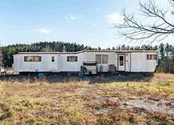 Bank Foreclosures in BENZONIA, MI