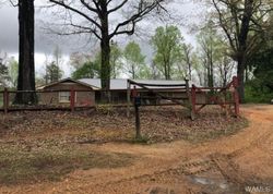 Bank Foreclosures in CARBON HILL, AL