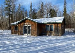 Bank Foreclosures in TENSTRIKE, MN