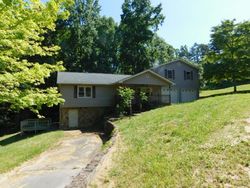 Bank Foreclosures in LOUISA, KY