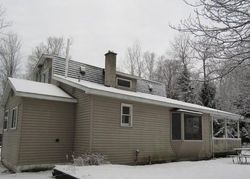 Bank Foreclosures in TWINING, MI