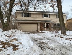 Bank Foreclosures in BURNSVILLE, MN