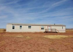 Bank Foreclosures in LAGUNA, NM