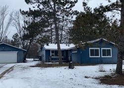 Bank Foreclosures in BEMIDJI, MN