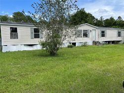 Bank Foreclosures in GENEVA, FL