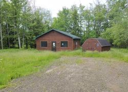 Bank Foreclosures in BARAGA, MI