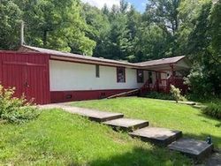 Bank Foreclosures in SHADY VALLEY, TN