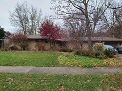 Bank Foreclosures in ROSELLE, IL