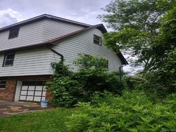 Bank Foreclosures in NEW PALTZ, NY