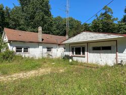 Bank Foreclosures in STEVENSVILLE, MI