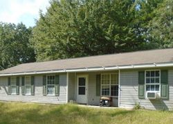 Bank Foreclosures in ROBERTA, GA