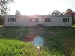 Bank Foreclosures in ZWOLLE, LA