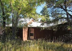 Bank Foreclosures in RYE, CO