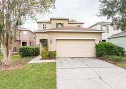 Bank Foreclosures in WESLEY CHAPEL, FL