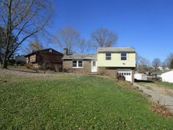 Bank Foreclosures in CHESWICK, PA