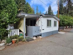 Bank Foreclosures in MOUNT SHASTA, CA