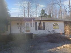 Bank Foreclosures in MC EWEN, TN