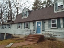 Bank Foreclosures in AMHERST, NH