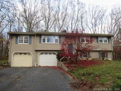 Bank Foreclosures in DEEP RIVER, CT