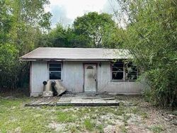 Bank Foreclosures in DELAND, FL