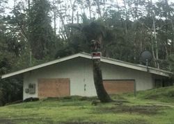 Bank Foreclosures in PAHOA, HI