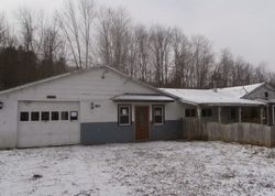 Bank Foreclosures in CANEADEA, NY